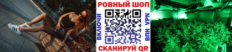 Виды наркотиков купить Стародуб Конопля  Меф мяу мяу  Кокаин  Гашиш 