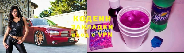 ГАЛЛЮЦИНОГЕННЫЕ ГРИБЫ Арсеньев
