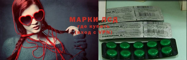 ГАЛЛЮЦИНОГЕННЫЕ ГРИБЫ Арсеньев