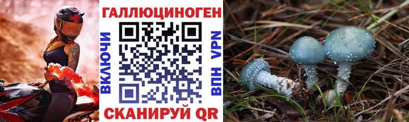 где продают наркотики  Стародуб  Псилоцибиновые грибы Magic Shrooms 