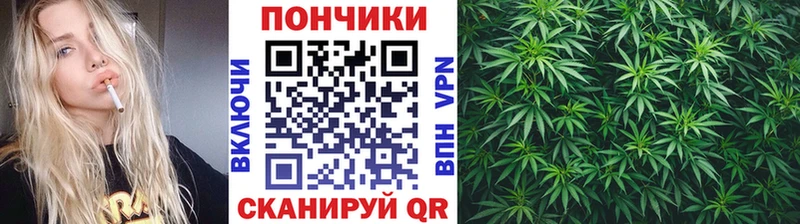 Каннабис THC 21%  купить закладку  Стародуб 